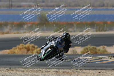 media/Apr-10-2022-SoCal Trackdays (Sun) [[f104b12566]]/Turn 14 (10am)/